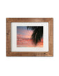 Palm Leaf